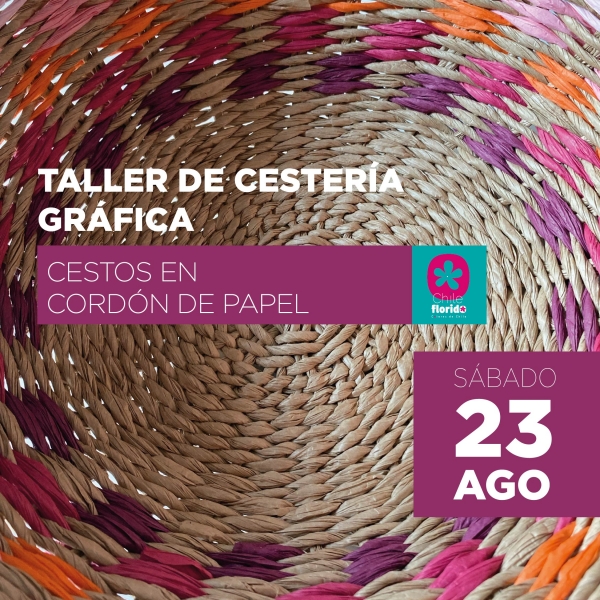 taller cestería